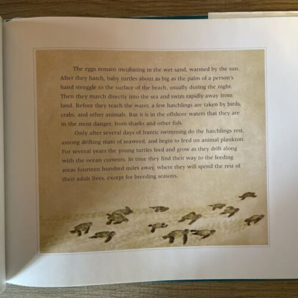 They Swim the Seas : The Mystery of Animal Migration by Seymour Simon - Picture 6 of 7